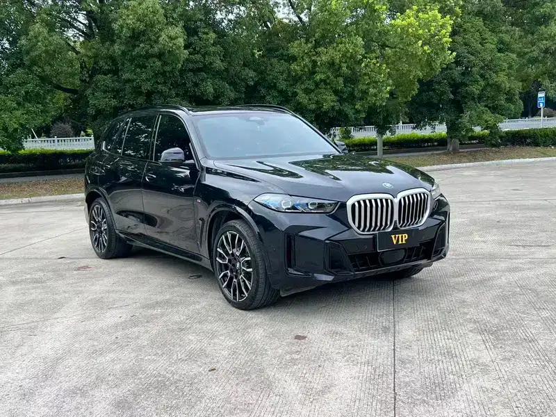 2023 BMW X5 xDrive40Li M Sport Shadow Edition — миниатюра 3