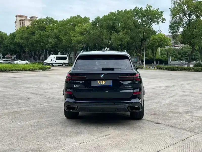 2023 BMW X5 xDrive40Li M Sport Shadow Edition — миниатюра 5