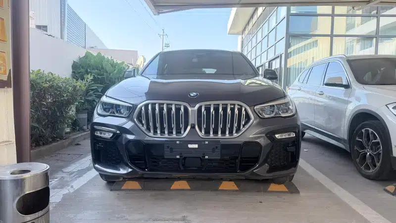 BMW X6 2021 xDrive40i Luxury M Sport Package — миниатюра 2