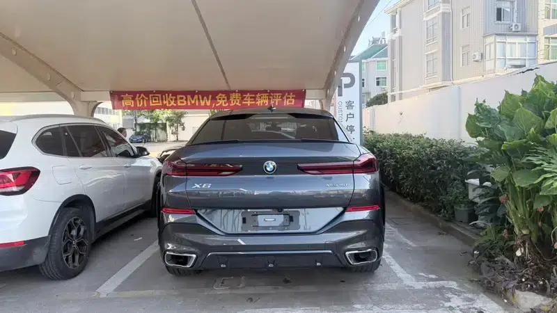 BMW X6 2021 xDrive40i Luxury M Sport Package — миниатюра 4