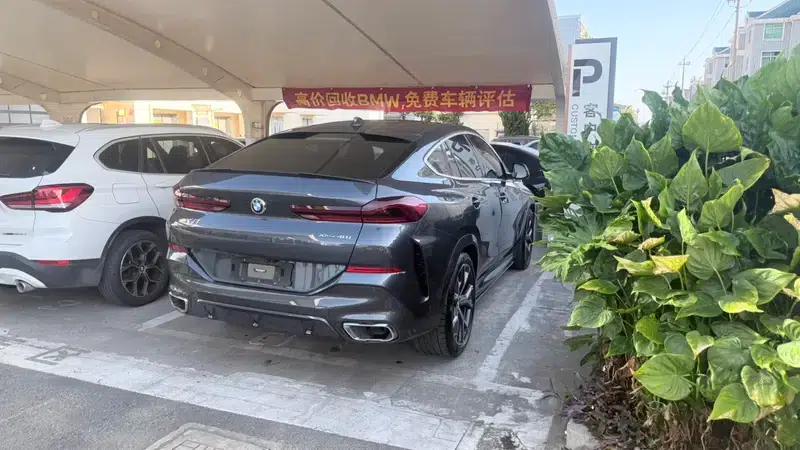 BMW X6 2021 xDrive40i Luxury M Sport Package — миниатюра 5