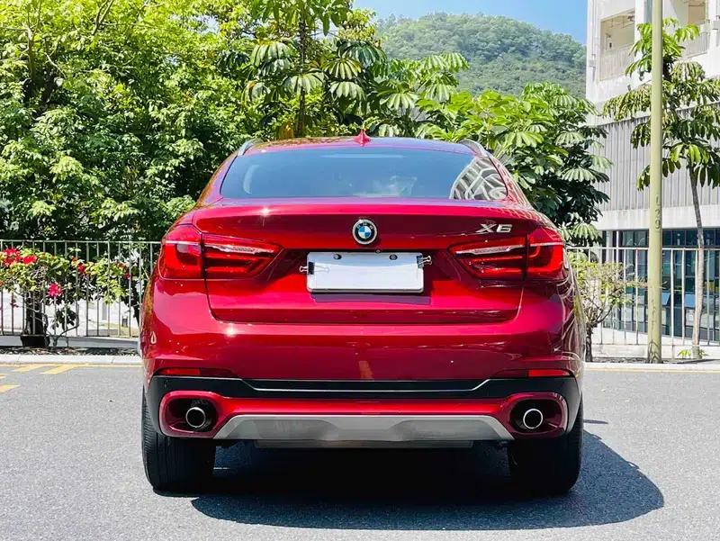 BMW X6 2015 xDrive35i Luxury — миниатюра 6