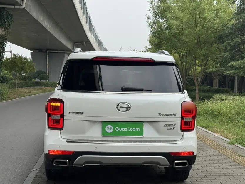 GAC Trumpchi GS8 2017 320T Two-Wheel Drive Luxury Smart Connectivity Version (7 Seats) — миниатюра 19