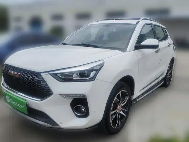 Haval H6 Coupe 2018 Red-Label 1.5T Automatic Two-Wheel Drive Ultra-Luxury Model