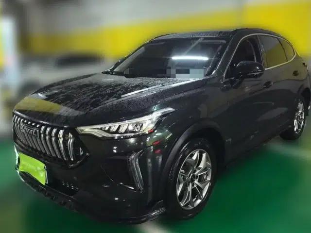 Haval LHERY 2022 Jingxiang Edition 1.5T Copper Rabbit