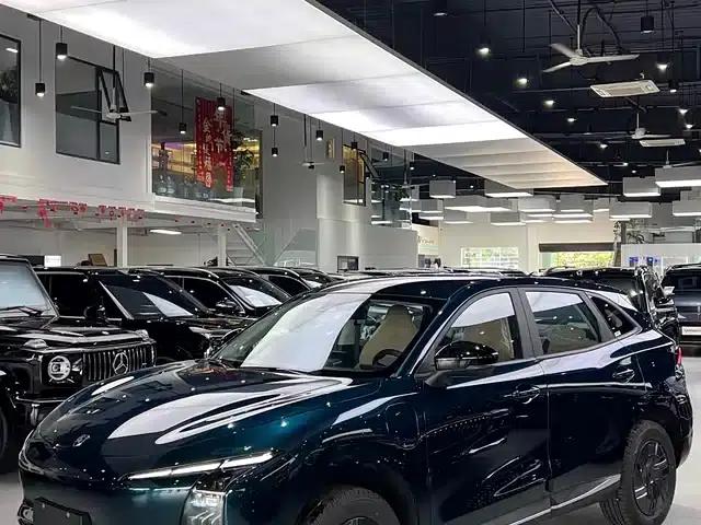 Xinghai T5 2026 Model 530km Premium Edition