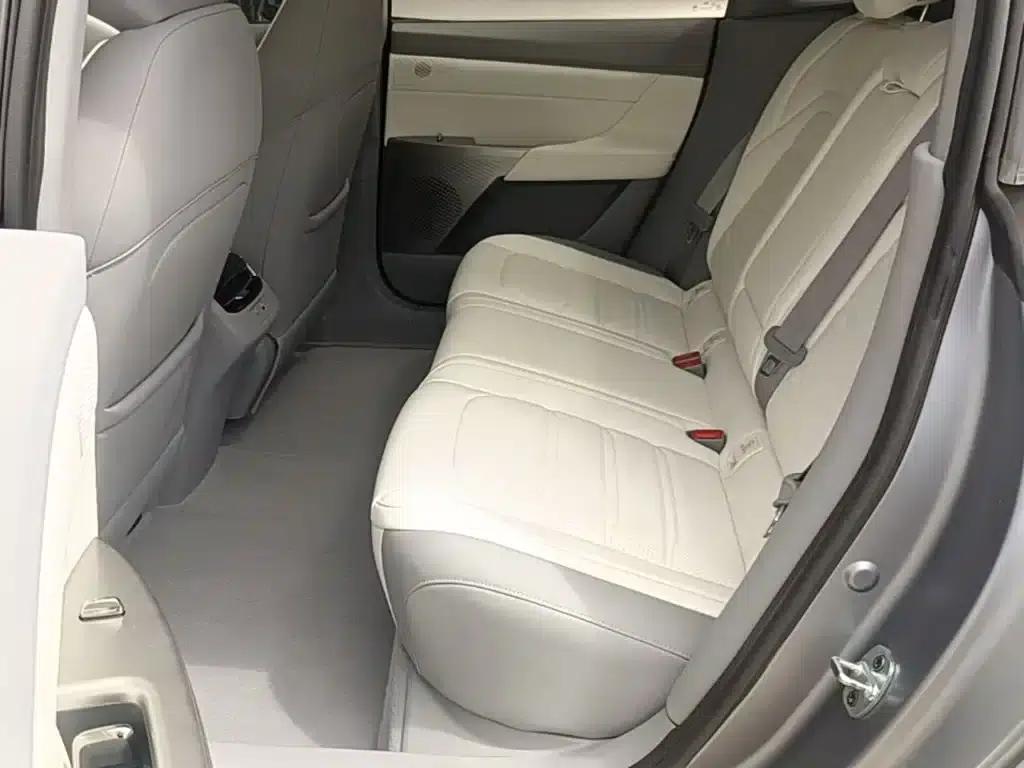 eπ007 2024 Pure Electric 540 AWD Max Edition — миниатюра 17