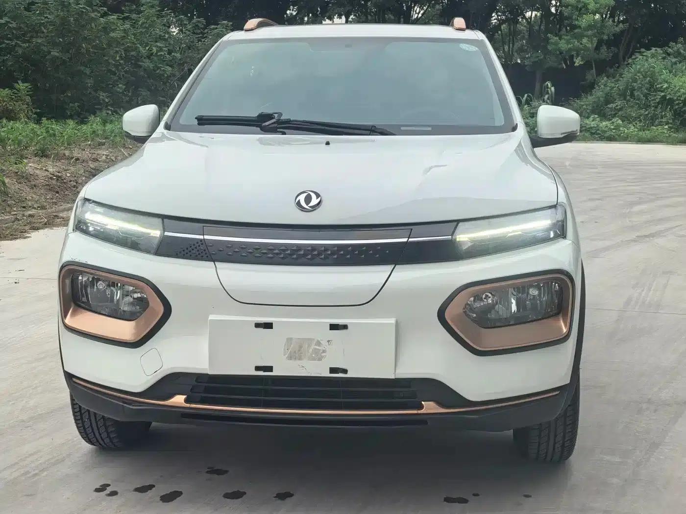 Nano EX1 2022 Model - Facelift PRO Enjoyment Edition — миниатюра 2