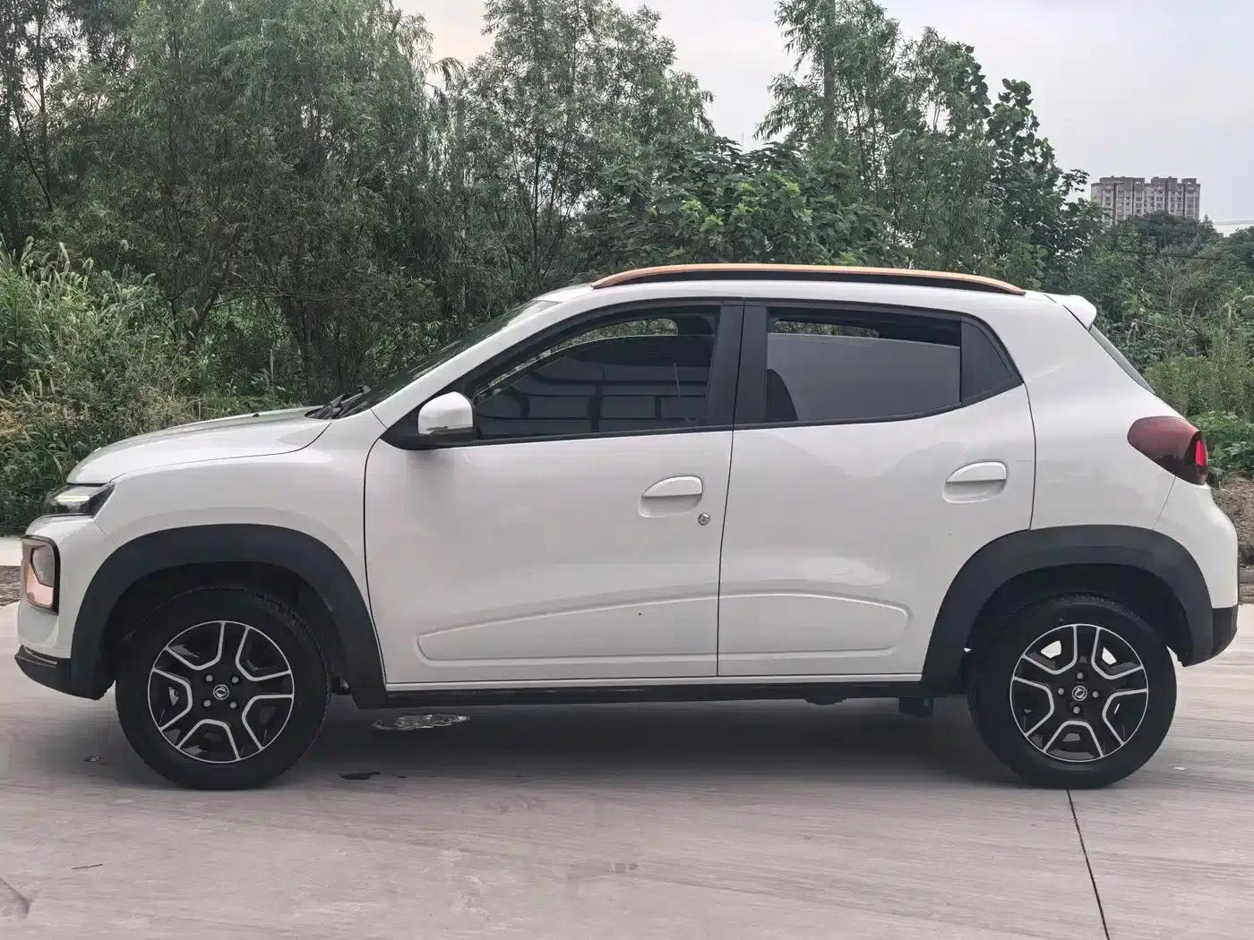 Nano EX1 2022 Model - Facelift PRO Enjoyment Edition — миниатюра 7