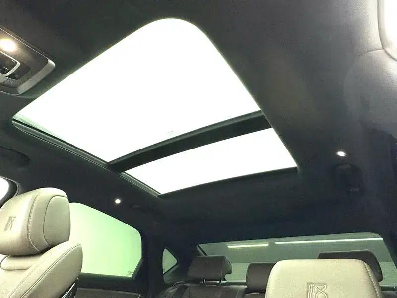 Han EV 2021 Standard Range Luxury Edition — миниатюра 19