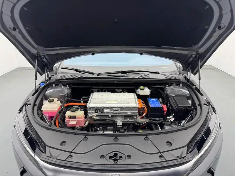 Han EV 2021 Standard Range Luxury Edition — миниатюра 10
