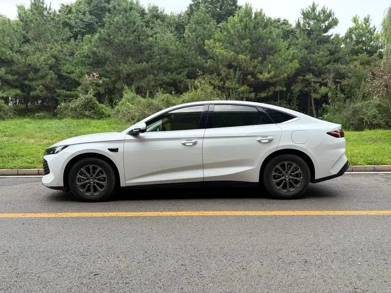 Qin L DM 2025 Smart Driving Edition DM-i 80KM Leading Model — миниатюра 4