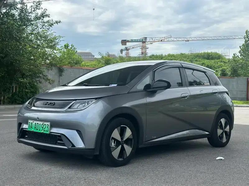 Dolphin 2024 Glory Edition 420km Freedom Edition — миниатюра 1