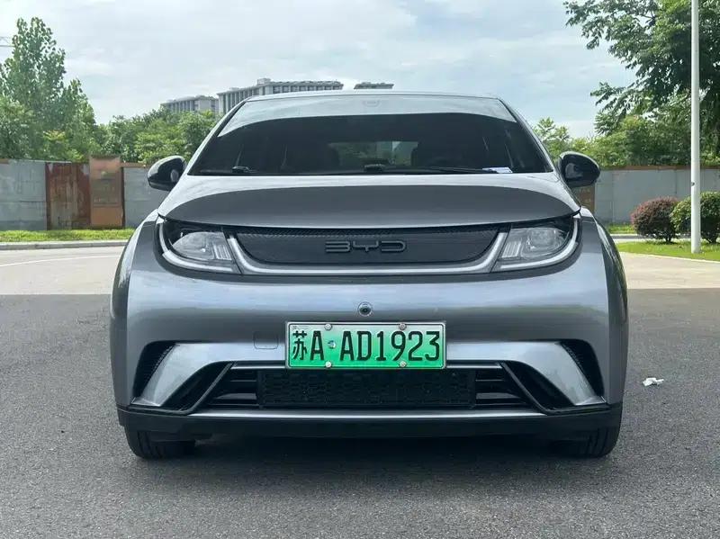 Dolphin 2024 Glory Edition 420km Freedom Edition — миниатюра 2