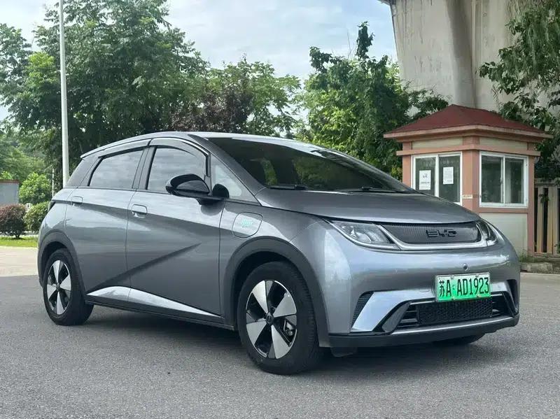 Dolphin 2024 Glory Edition 420km Freedom Edition — миниатюра 3