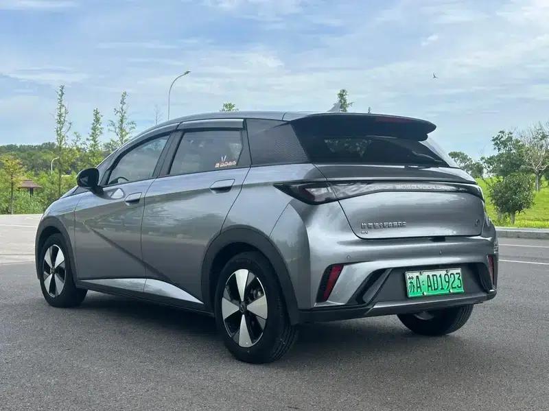Dolphin 2024 Glory Edition 420km Freedom Edition — миниатюра 4