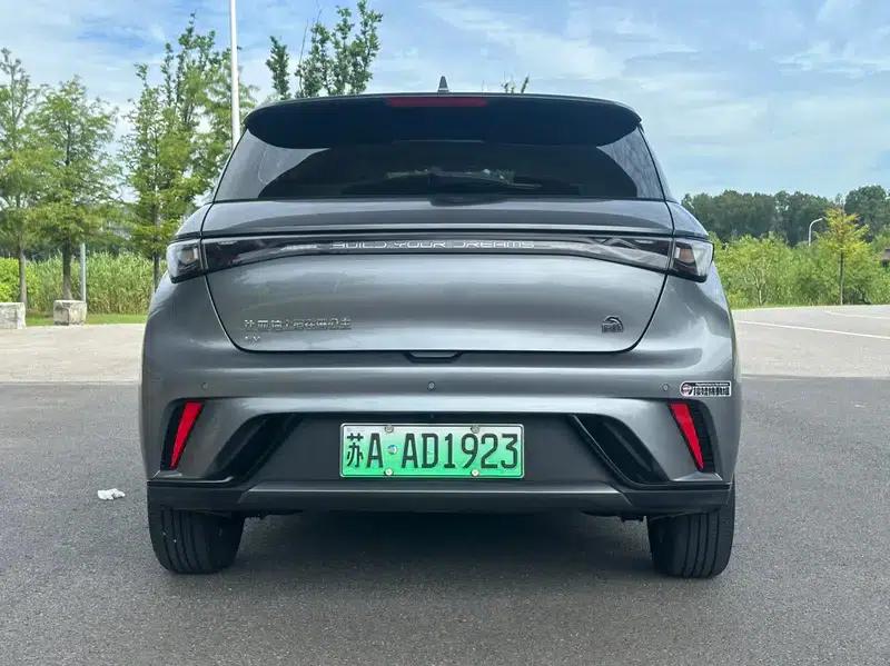 Dolphin 2024 Glory Edition 420km Freedom Edition — миниатюра 5