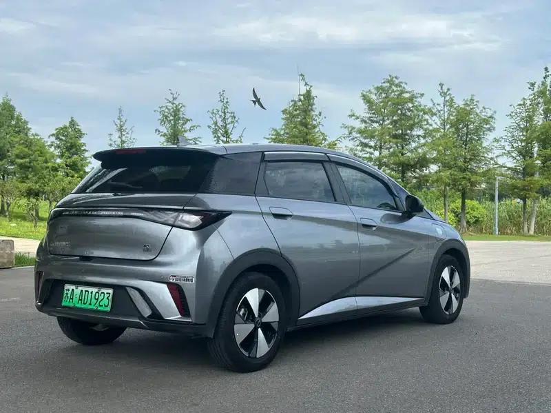 Dolphin 2024 Glory Edition 420km Freedom Edition — миниатюра 6