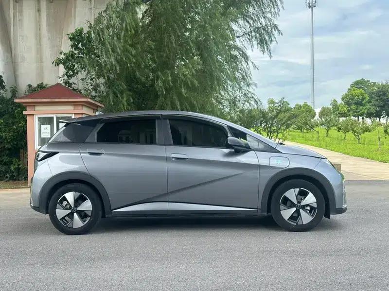 Dolphin 2024 Glory Edition 420km Freedom Edition — миниатюра 7