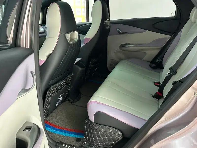 Dolphin 2021 Knight Edition — миниатюра 13