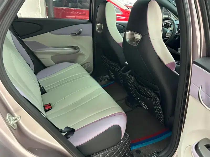 Dolphin 2021 Knight Edition — миниатюра 14