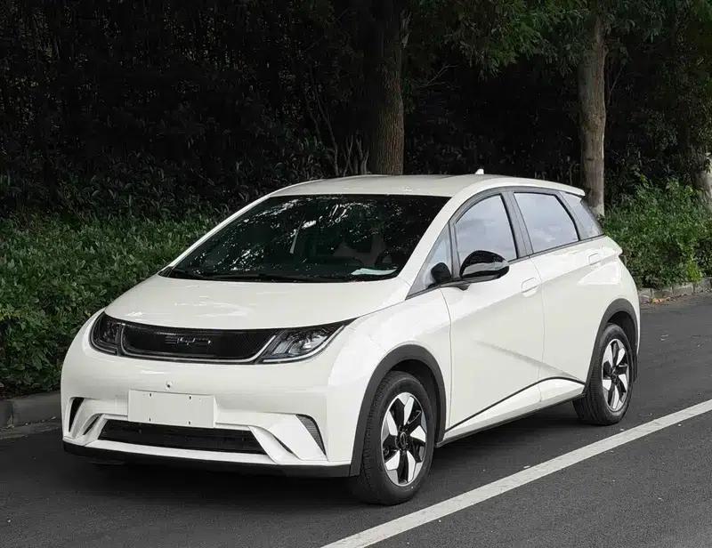 Dolphin 2025 420KM Vitality Edition — миниатюра 1