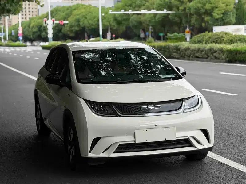 Dolphin 2025 420KM Vitality Edition — миниатюра 3