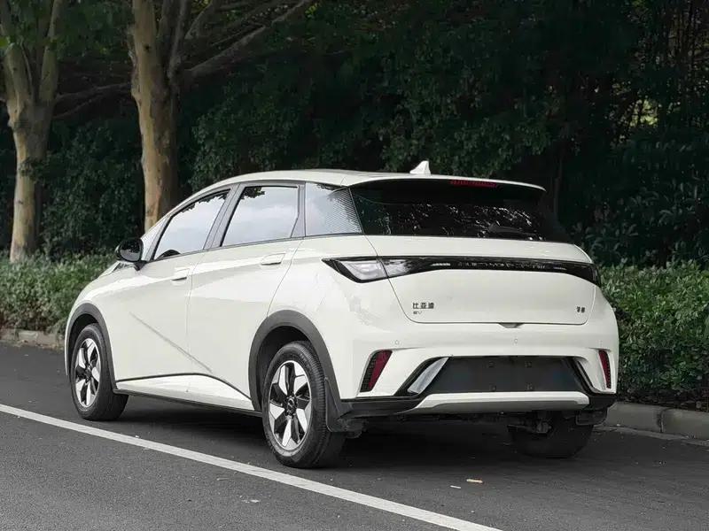Dolphin 2025 420KM Vitality Edition — миниатюра 5
