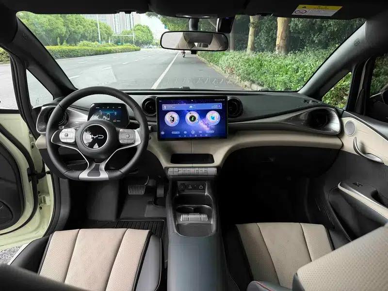 Dolphin 2025 420KM Vitality Edition — миниатюра 7