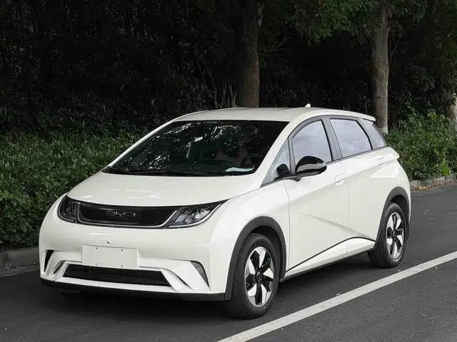 Dolphin 2025 420KM Vitality Edition