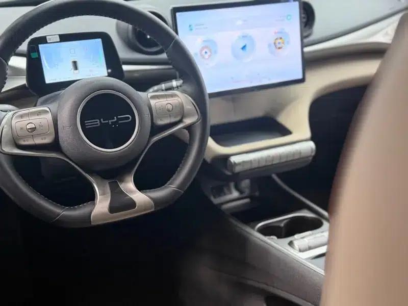 Dolphin 2023 500,000th Anniversary Edition Pro — миниатюра 7