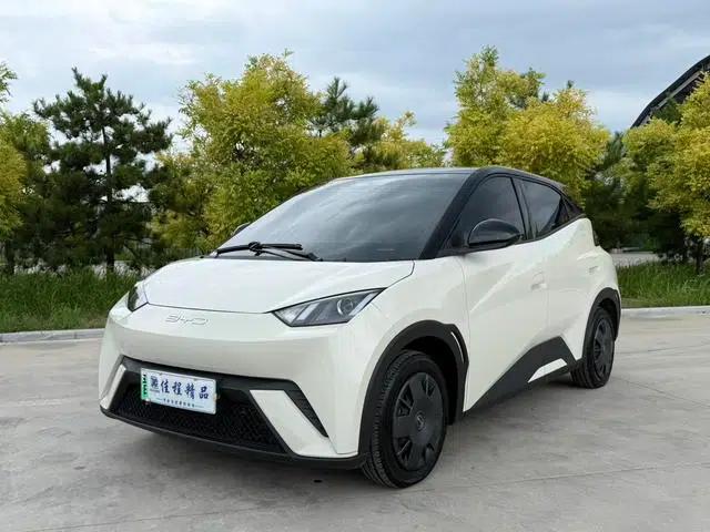 Seagull 2023 Vitality Edition