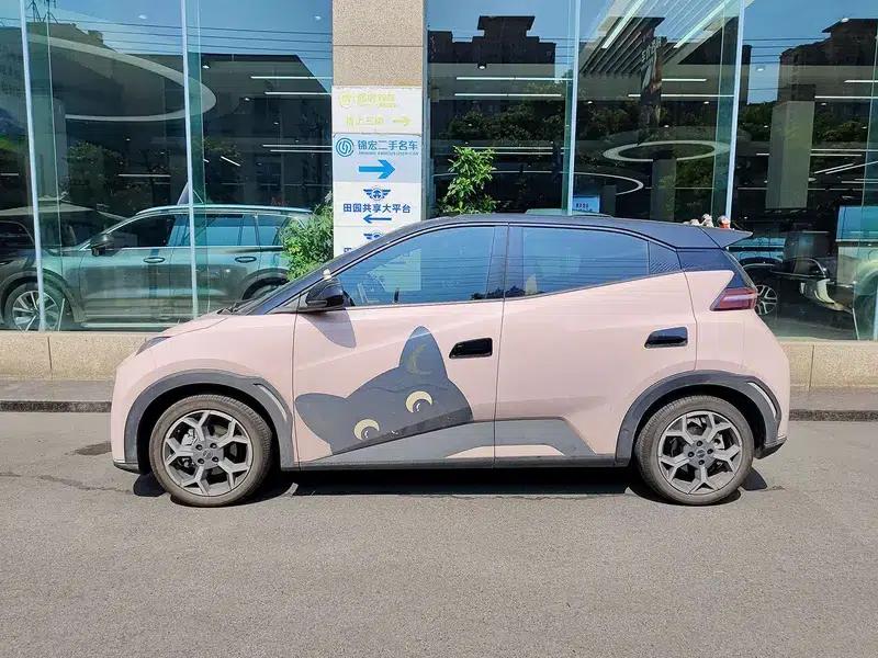 Seagull 2025 305KM Freedom Edition — миниатюра 3