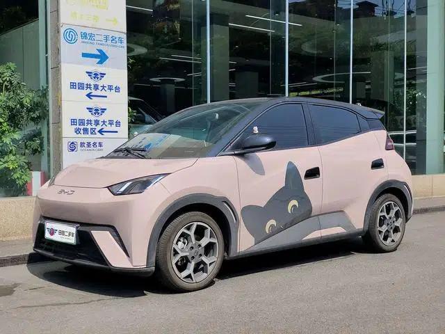 Seagull 2025 305KM Freedom Edition