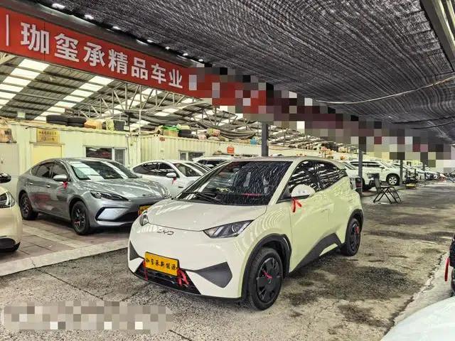 Seagull 2025 305KM Vitality Edition