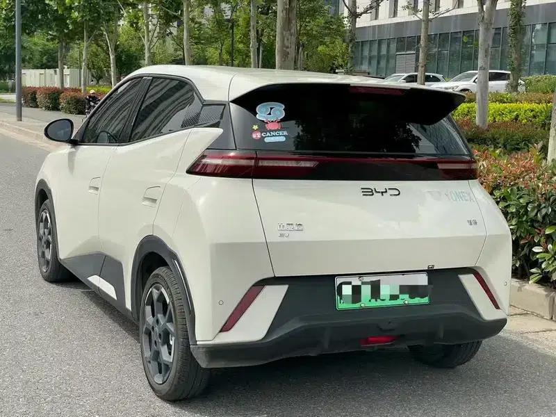 Seagull 2025 305KM Freedom Edition — миниатюра 4