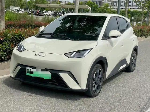 Seagull 2025 305KM Freedom Edition