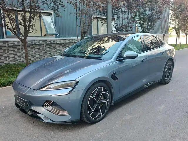Seal 2022 650KM 4WD Performance Edition