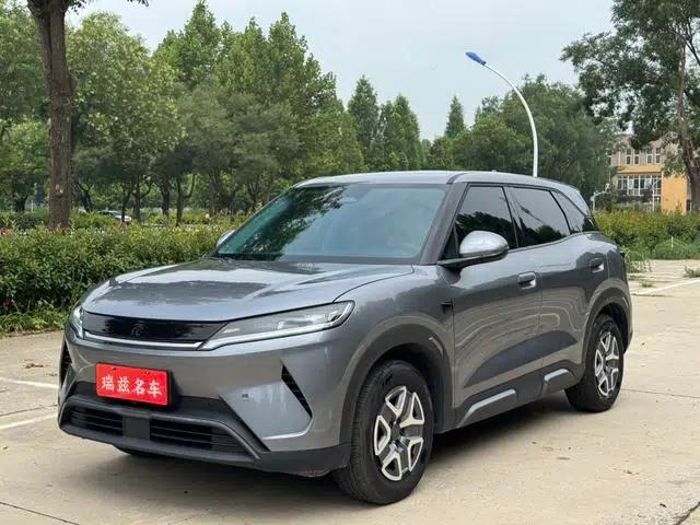 Yuan UP 2025 Smart Driving Edition 401KM Vitality Edition