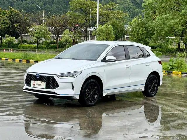 BYD e2 2021 Luxury Edition