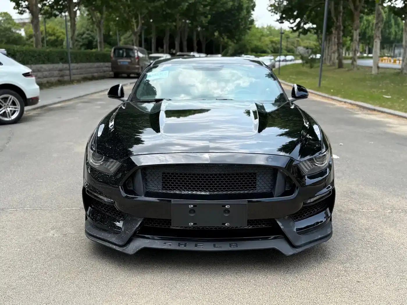2016 Mustang 2.3T Performance Edition — миниатюра 2