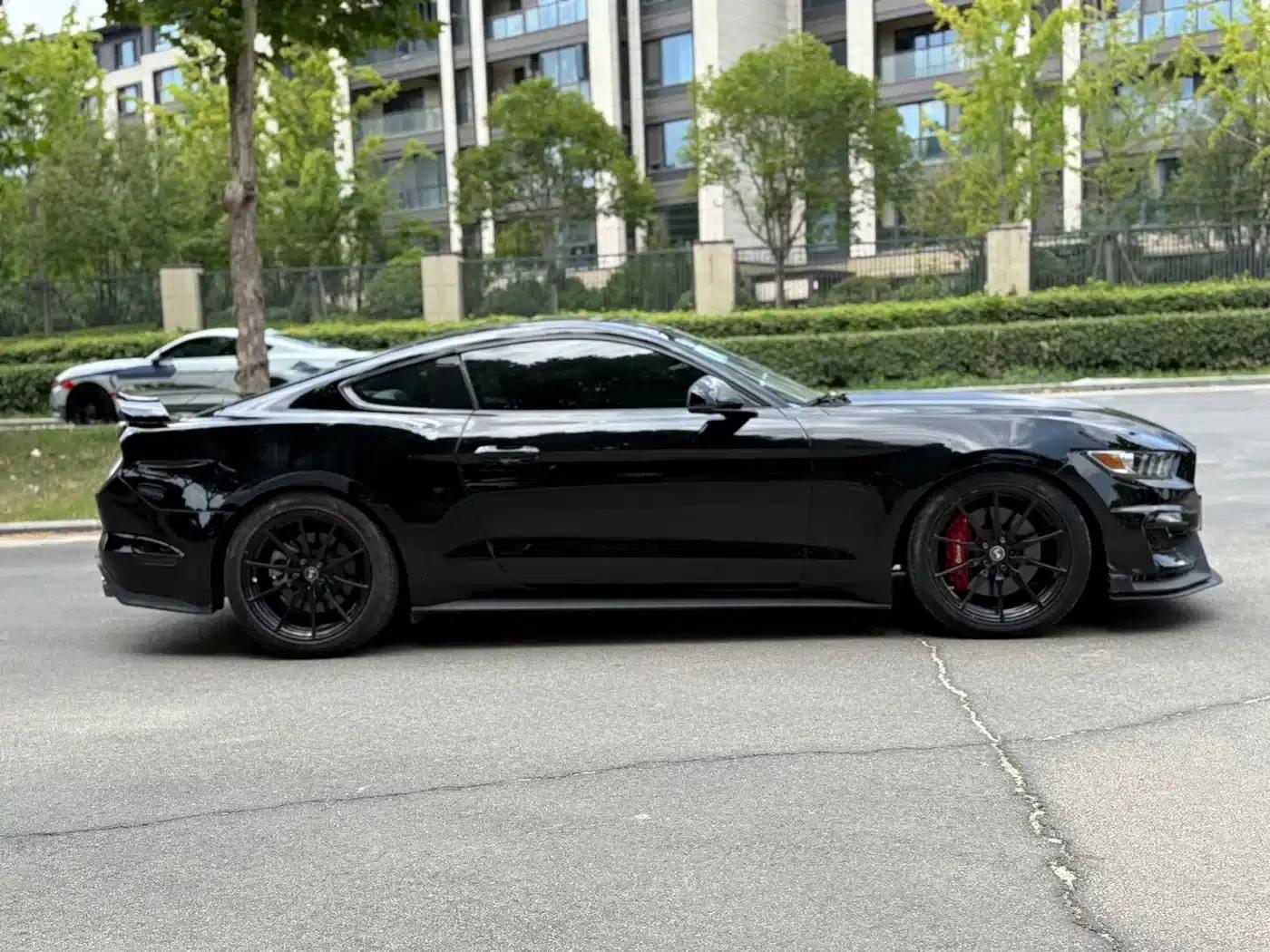 2016 Mustang 2.3T Performance Edition — миниатюра 4