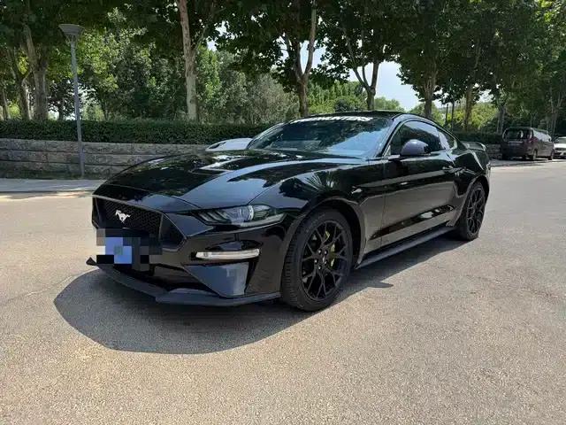 2019 Mustang 2.3L EcoBoost