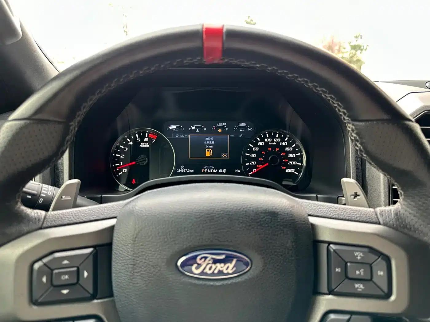 2019 Ford F-150 Raptor 3.5T Raptor Performance Enhanced Edition — миниатюра 6