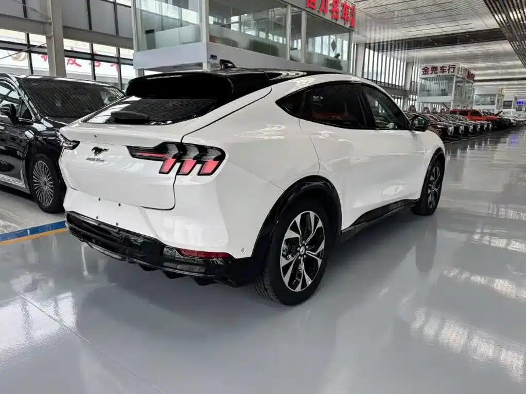 Ford e31 2021 Model X Unlimited Rear-Wheel Drive Luxury Edition Long Range — миниатюра 4