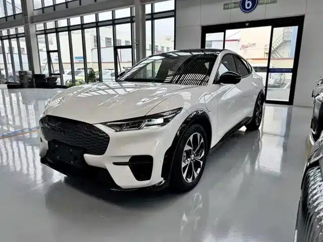 Ford e31 2021 Model X Unlimited Rear-Wheel Drive Luxury Edition Long Range