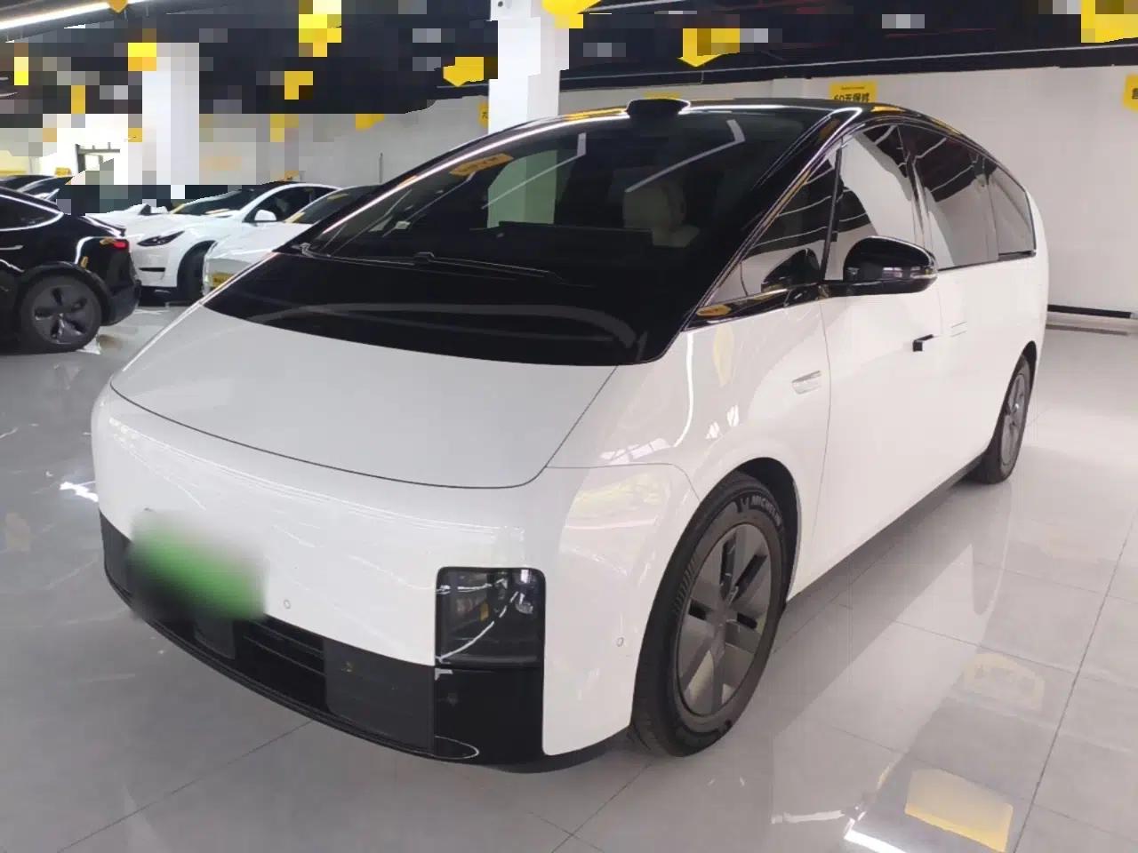 Li Auto MEGA 2025 Home Family Special Edition — миниатюра 1