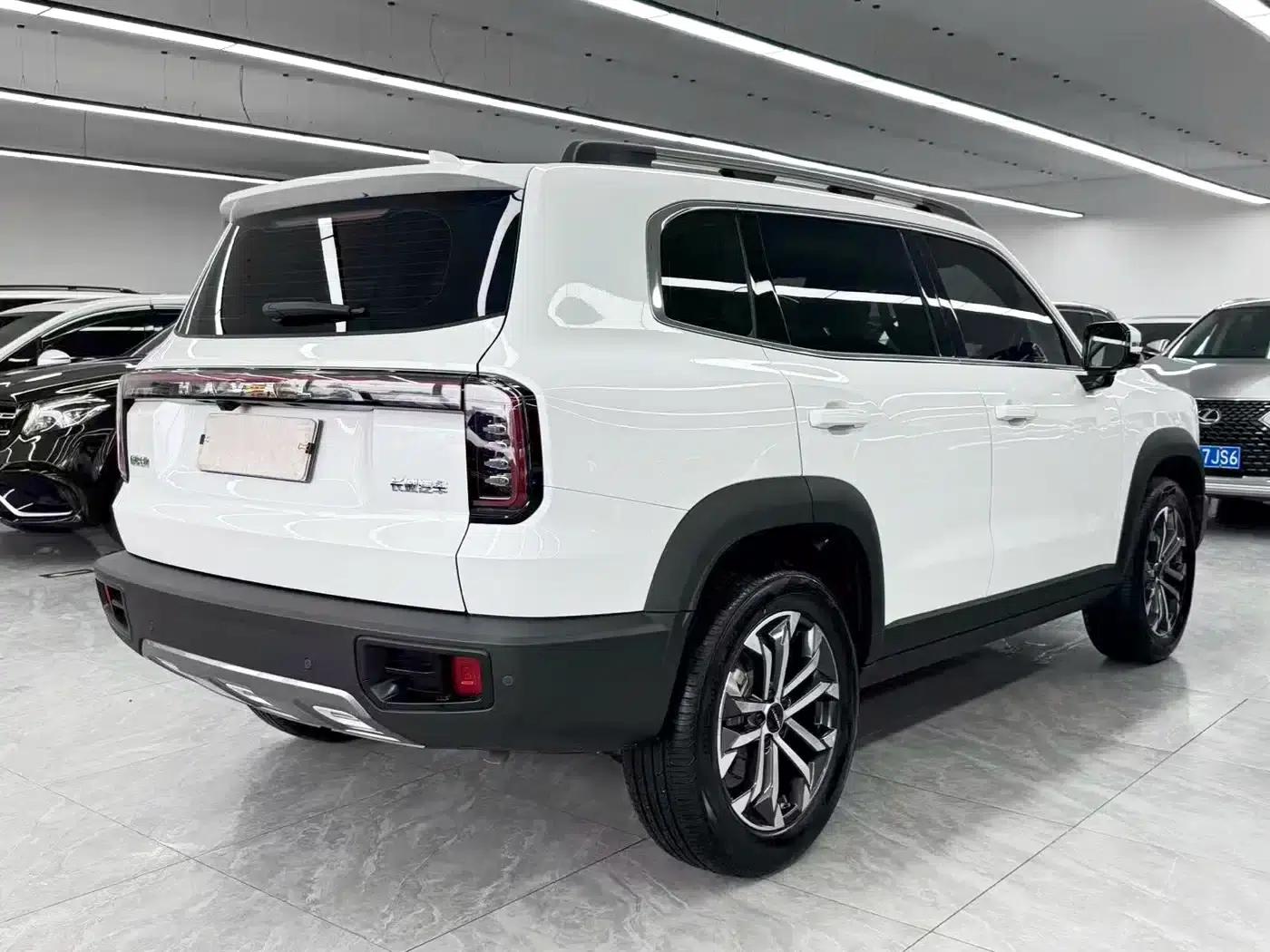 Haval Big Dog 2024 1.5T DCT Border Collie Edition — миниатюра 6