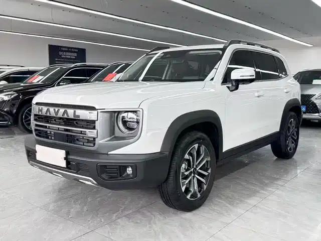 Haval Big Dog 2024 1.5T DCT Border Collie Edition
