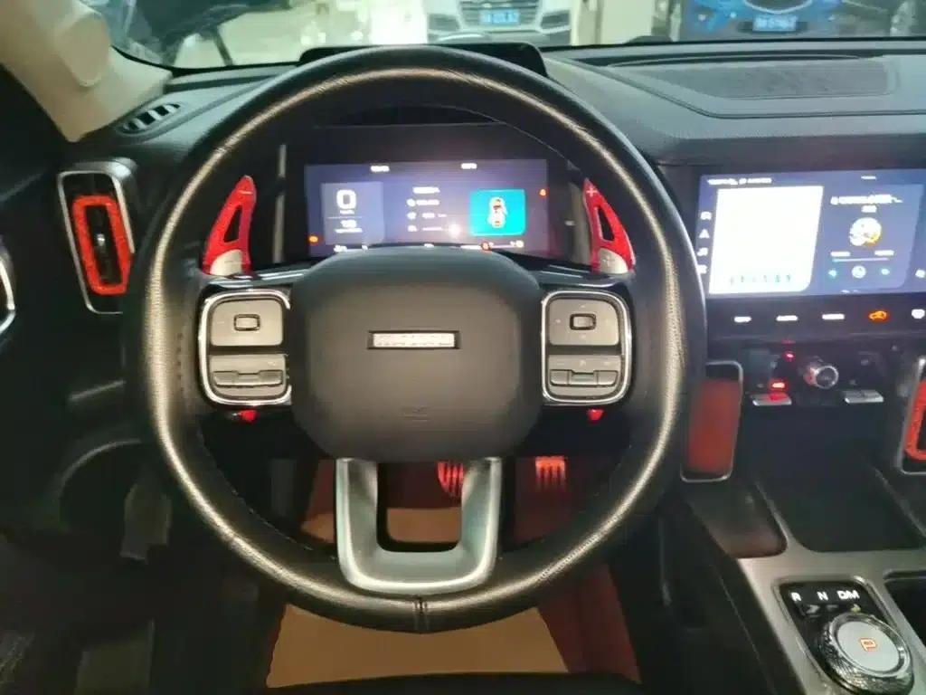 Haval Big Dog 2021 1.5T DCT 2WD Labrador Edition — миниатюра 11